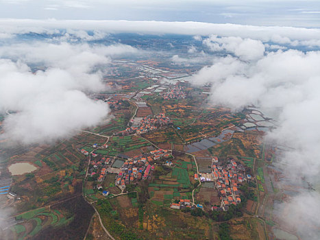 caothuchotso
