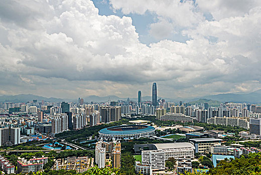 soi cau lo chuan mien bac
