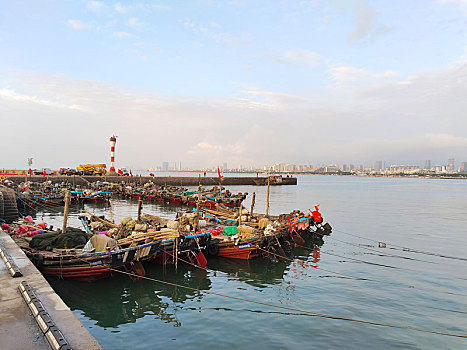 cầu đề hôm nay