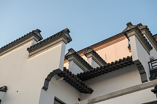 soi câu 247